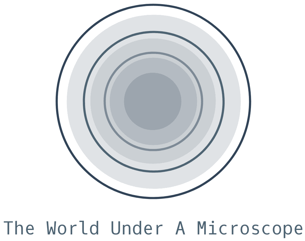 The World Under a Microscope